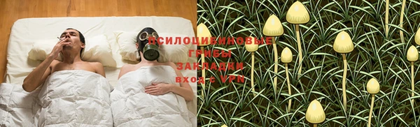 spice Пересвет
