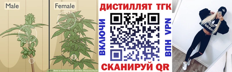 ТГК концентрат  купить наркоту  kraken ТОР  Ступино 